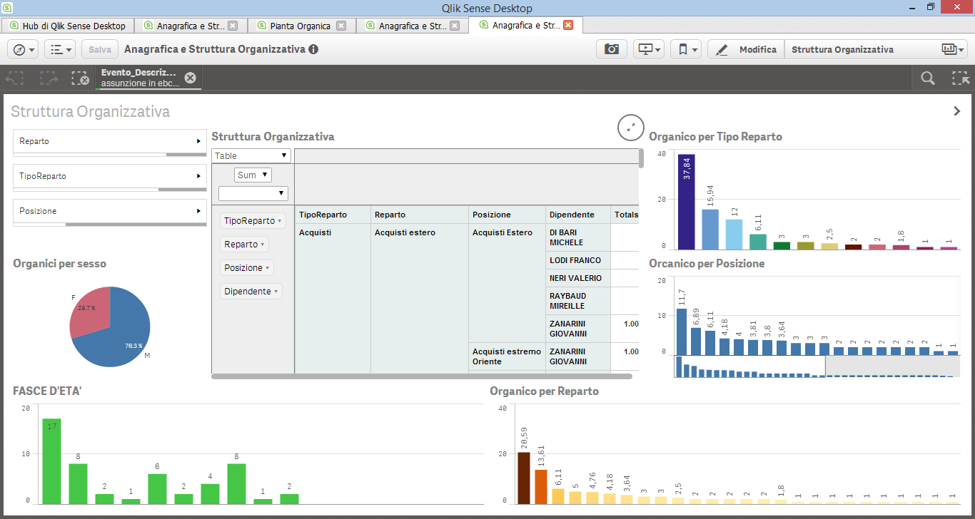 Sense Struttura Organizzativa Business intelligence hr